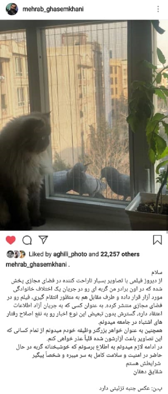 شقایق دهقان بابت گربه آزاری برادرش عذرخواهی کرد