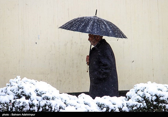 استانهایی که دمای آنها به زیر صفر میرسد دمای کدام استانها به زیر صفر میرسد