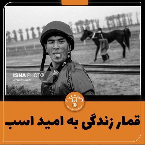 پشت این نگاه، زندگی را قمار میکنند قمار زندگی به امید اسب در ترکمنصحرا