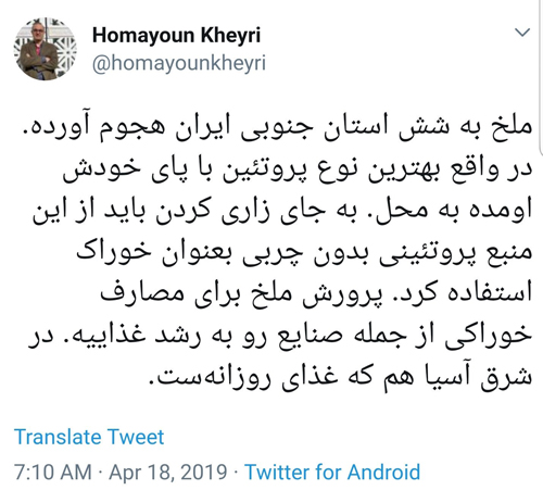 و ناگهان ملخ خوری در ایران جذاب شد