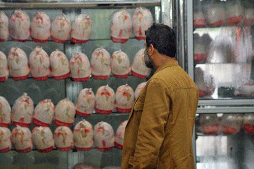 خرید مرغ در اصفهان باکارت ملی الزامی شد