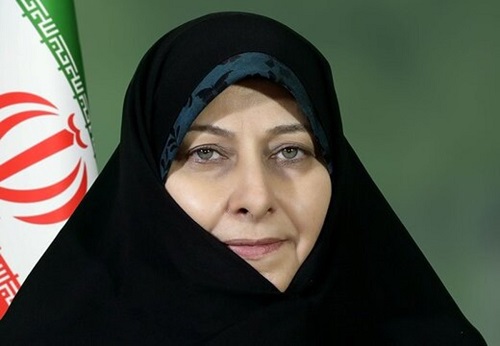 معاون رئیس&zwnj;جمهور: چند همسری مجوز قانونی دارد