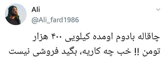 چاقاله بادام کیلویی ۴۰۰ هزار تومان شد چاقاله بادام کیلویی ۴۰۰ هزار تومان شد