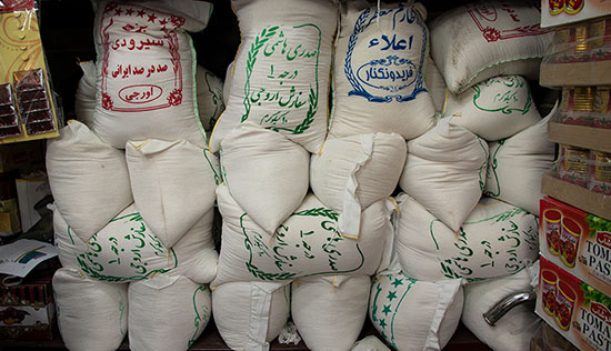 با برنج ۱۰۰هزار تومانی چگونه می&zwnj;توان نهار خورد؟