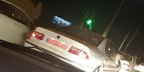برکناری یک مدیر به دلیل سگ&zwnj;گردانی با خودروی دولت