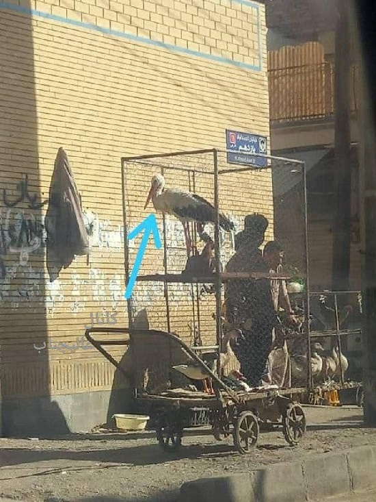 ملتی هستیم که مهمانانش را به قفس می&zwnj;اندازد!