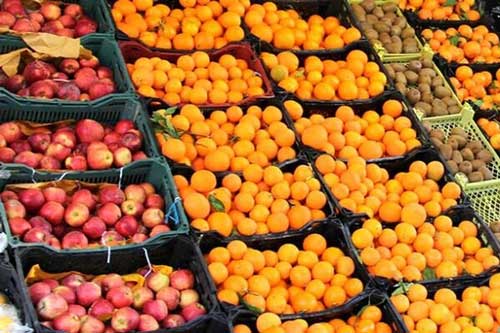 آغاز عرضه مستقیم میوه نوروزی با نرخ مصوب