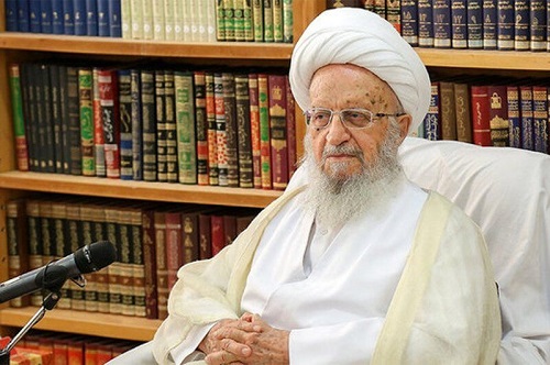 مکارم: کسی نمی&zwnj;تواند جلوی بانک&zwnj;ها را بگیرد