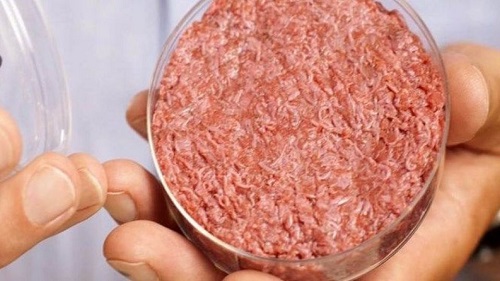 خوردن گوشت دیگر نیازی به کُشتن حیوان ندارد! دیگر برای خوردن گوشت نیازی به کشتن حیوان نیست