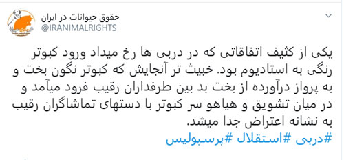 اعتراض انجمن حمایت از حیوانات به دربی&zwnj;باز&zwnj;ها