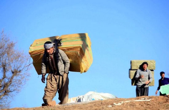 نماینده مهاباد: کولبری در شأن جوانان ایرانی نیست