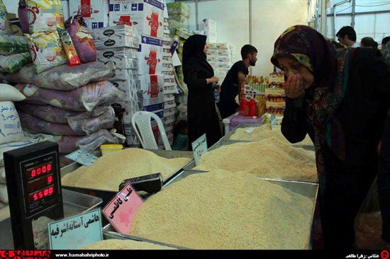 پشت&zwnj;پرده گرانی برنج؛ پاسخگو باشید
