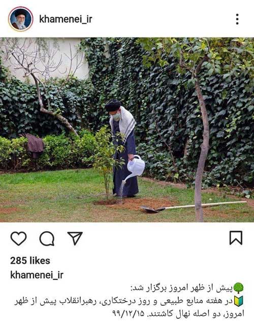 کاشت دو نهال توسط رهبر انقلاب کاشت دو نهال توسط رهبر انقلاب