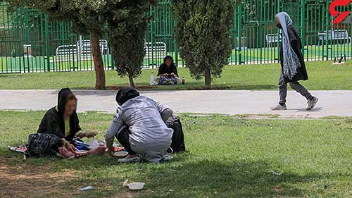 سن کارتنخوابی زنان در ایران به ۱۵سال رسید سن کارتنخوابی زنان در ایران به ۱۵سال رسید