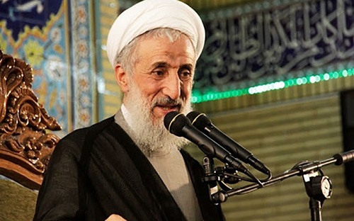 صدیقی: سگگردانی و بدحجابی مصداق هرزگی است صدیقی: سگگردانی و بدحجابی مصداق هرزگی است