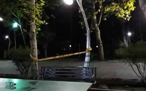 مظنونان حادثه پارک لاله تهران بازداشت شدند مظنونان حادثه پارک لاله تهران بازداشت شدند