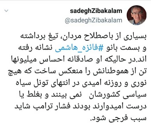 زیباکلام: فائزه ها امیدوارند با فشار ترامپ فرجی شود