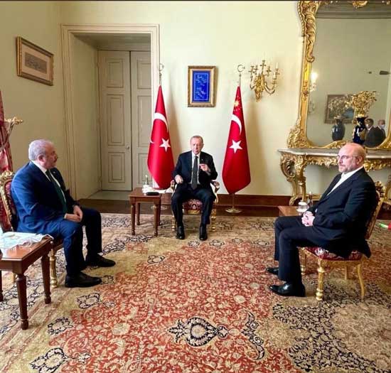عکس دیدار قالیباف با اردوغان مناقشهبرانگیز شد عکس دیدار قالیباف با اردوغان مناقشهبرانگیز شد