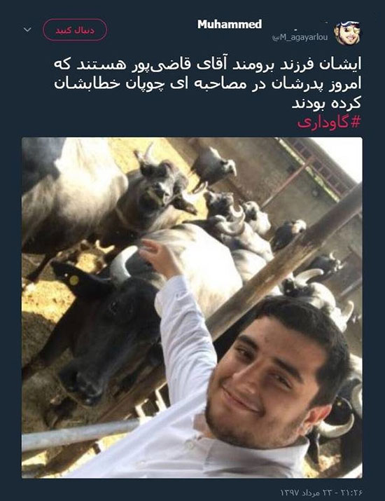 قاضی پور: پسرم کار گوسفند&zwnj;ها را خودش انجام می&zwnj;دهد