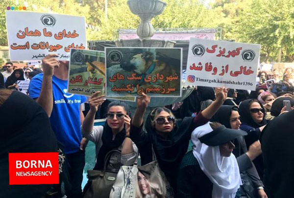 تجمع مقابل شهرداری تهران به خاطر سگکشی تجمع مقابل شهرداری تهران به خاطر سگکشی