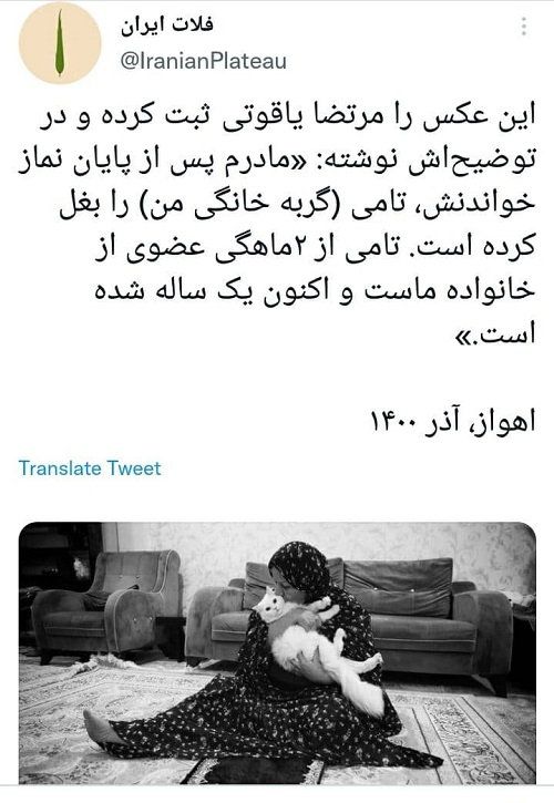 مادری که بعد از نماز، گربهاش را بغل میکند مادر که بعد از نماز گربهاش را بغل میکند