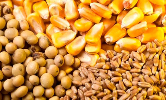 خطر جنگ روسیه و اوکراین برای ایران جدی شد