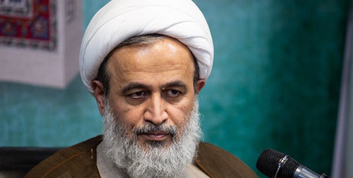 پناهیان: مجالس عزاداری شادی ایجاد می&zwnj;کند