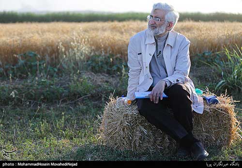 شباهت فعالیت&zwnj;های تبلیغاتی جلیلی با بایدن!