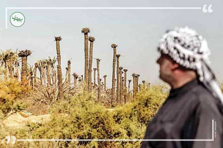 بازداشت ۳۰۰نفر در سوسنگرد در پی وقایع اخیر بازداشت ۳۰۰نفر در سوسنگرد در پی وقایع اخیر