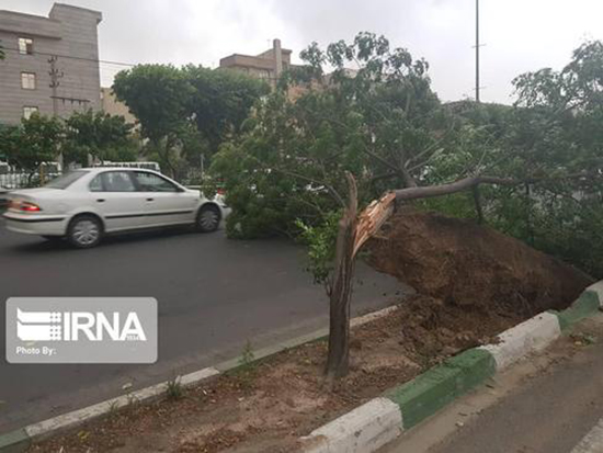 تندباد در تهران؛ هشدار برای روز دوشنبه تندباد در تهران؛ احتمال رگبار باران در پایتخت