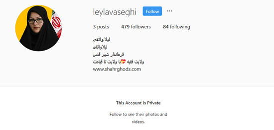 لیلا واثقی، هشتگ شد و اینستاگرامش را بست پیج شخصی فرماندار جنجالی بسته شد