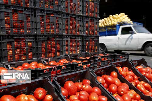 قیمت مرغ یک هفته دیگر به نرخ قبل بازمی&zwnj;گردد